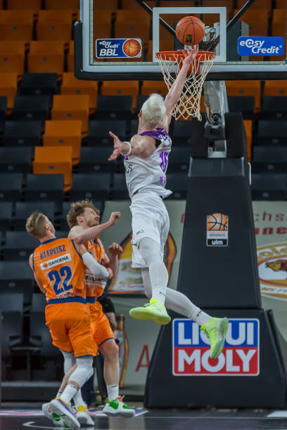 当年引进凯 当年引进凯